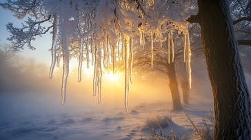 Free Misty winter sunrise Image - Winter, Sunrise, Mist | Download at ...