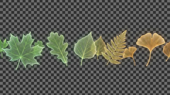 Free Autumn Leaves Floating Image - Leaves, Autumn, Fall | Download at ...