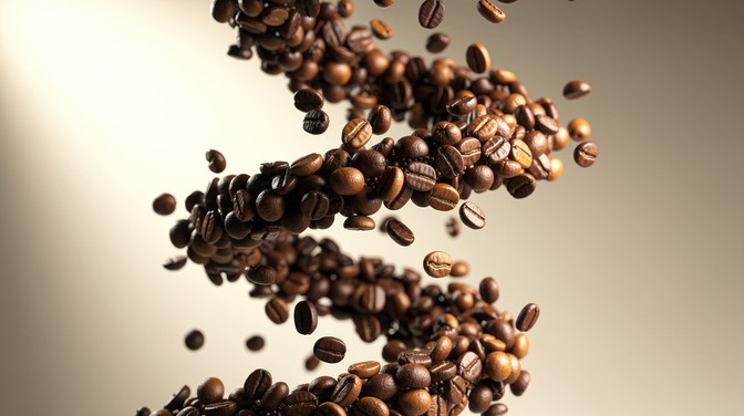 Free Coffee Beans Flow Image - Coffee, Beans, Brown | Download at StockCake
