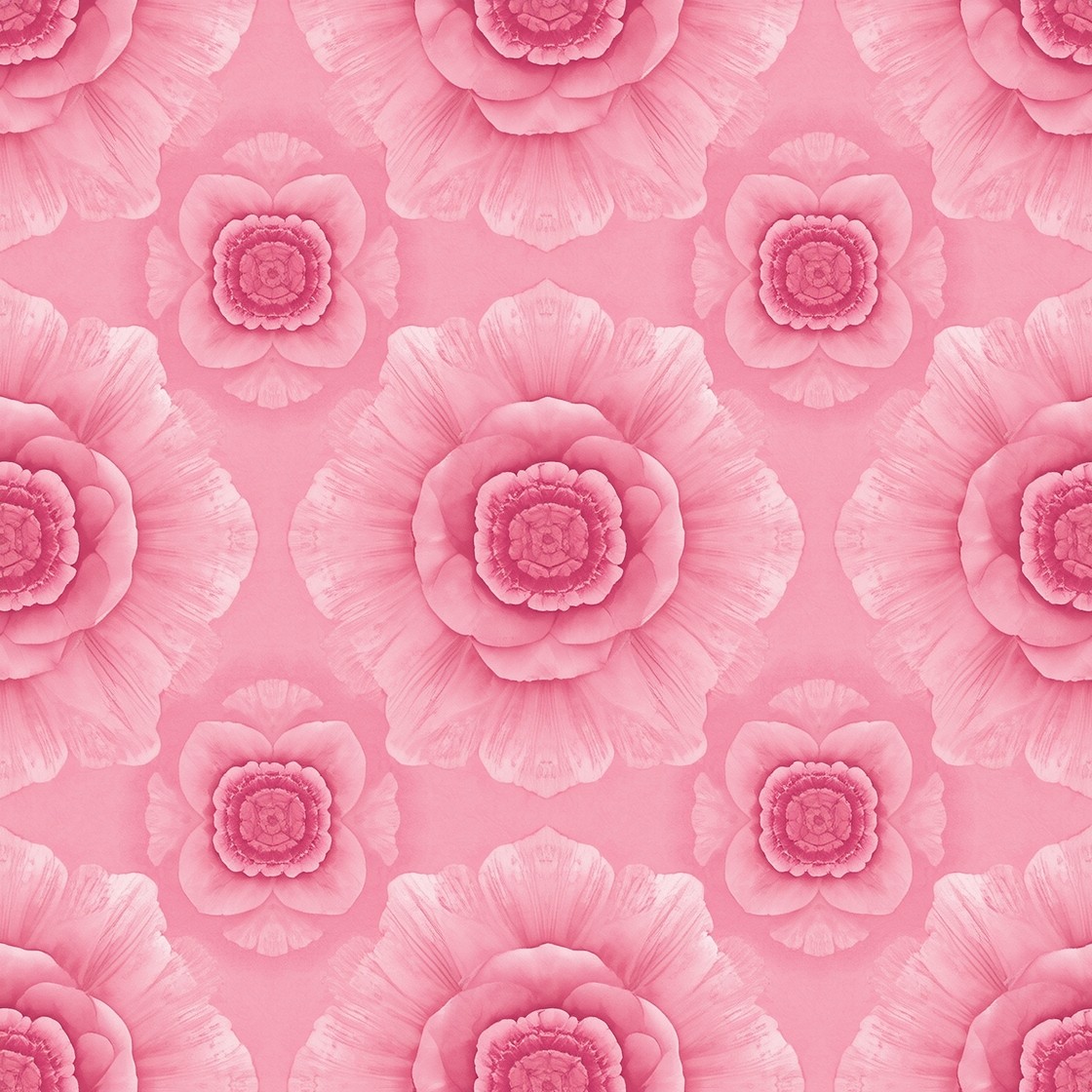Free Pink Rose Pattern Photo - Pink, Rose, Floral | Download at StockCake