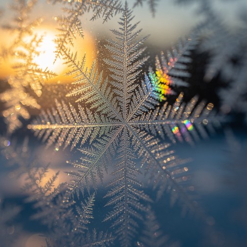 Delicate frost crystals create feathered patterns on window glass ...