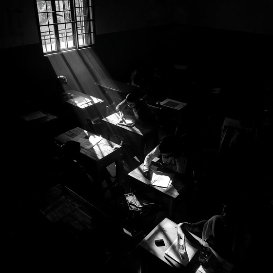 Free Learning Through Shadows Image - Education, Classroom, Students ...