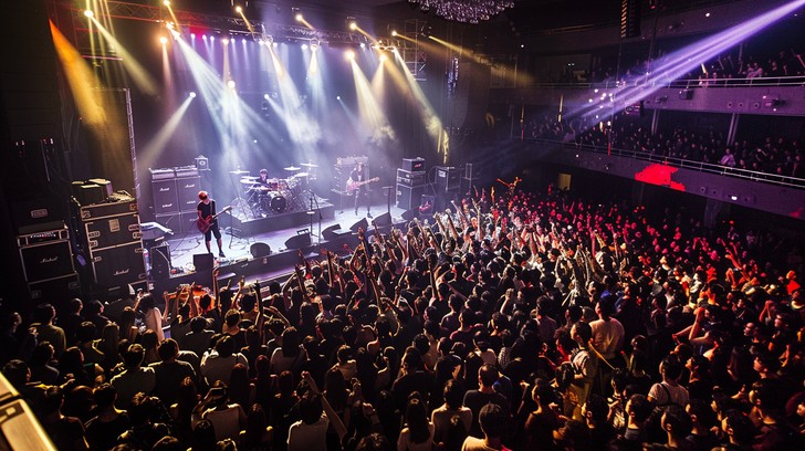 Free Live Concert Energy Image - Concert, Crowd, Stage | Download at ...