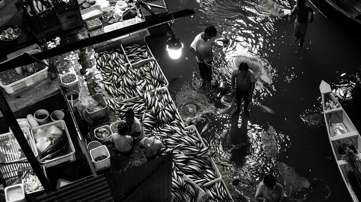 Free Bustling Fish Market Image - Market, Fish, People | Download at ...