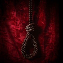 Hanging Rope Creepy Free Rope and Drapery Image - Rope, Drapery, Red | Download at StockCake