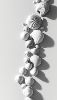 Free Cascading Shell Symphony Image - Shells, Seashells, Minimal ...