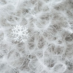 Fuzzy Snowflake Free Frosty snowflake detail Image - Snowflake, Frost, Spiderweb ...