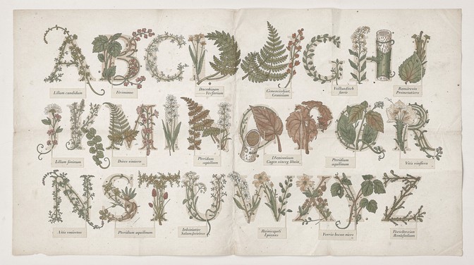 Free Botanical Alphabet Art Image - Botanical, Alphabet, Illustration ...