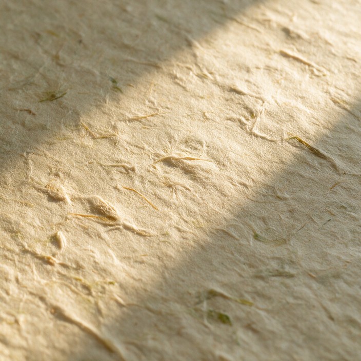 Warm golden sunlight stretches across rough handmade paper, showing ...