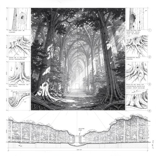 Free Forest Cathedral Sketch Image - Forest, Cathedral, Sketch ...