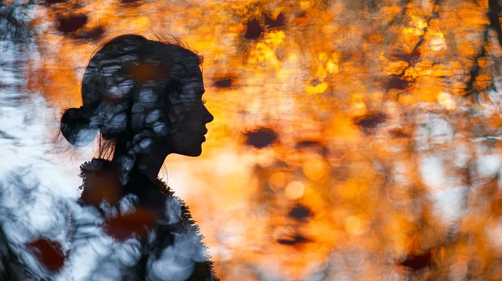 Free Autumn Reflections Portrait Image - Autumn, Silhouette, Reflection ...