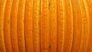 Free Ribbed Pumpkin Texture Photo - Pumpkin, Orange, Texture | Download ...