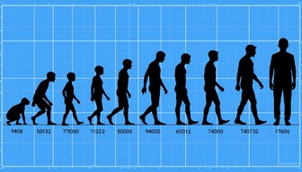 Free Human Progression Timeline Image - Evolution, Timeline, Silhouette ...