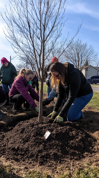 Free Community Tree Planting Photo - Volunteers, Planting, Tree ...