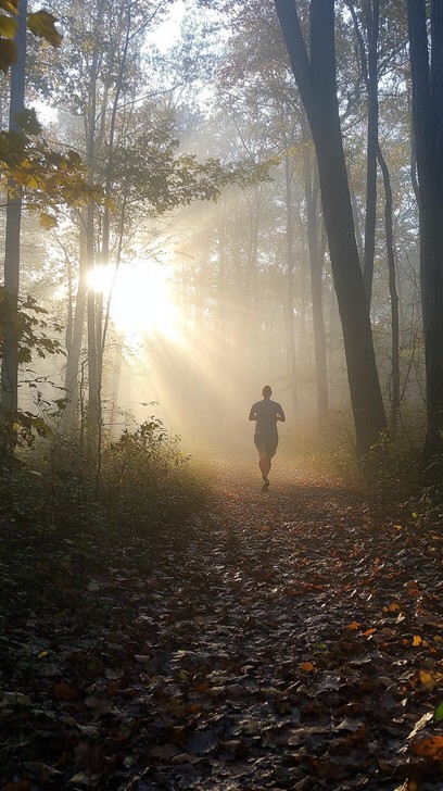 Free Morning Trail Run Image - Morning, Runner, Forest | Download at ...