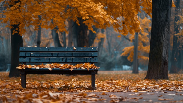 Fall Sessions Bench Free Autumn Reading Session Image - Autumn, Reading, Park | Download at ...