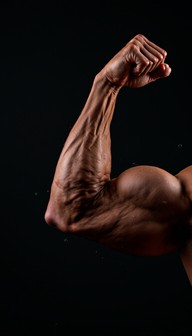 Strength Hd Free Strength In Motion Image - Strength, Muscle, Fitness | Download at ...