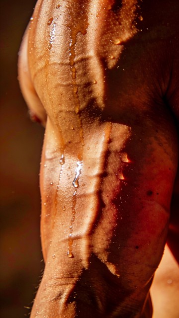 Shimmer Muscle Free Strength In Detail Image - Muscular, Sweat, Bronze | Download at ...