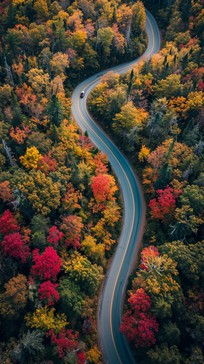 Free Autumn scenic drive Image - Autumn, Forest, Winding | Download at ...