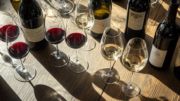 Free Wine tasting setup Image - Wine, Glasses, Table | Download at ...