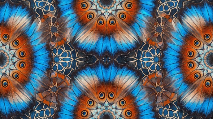 Free Butterfly Textile Pattern Stock Images | StockCake