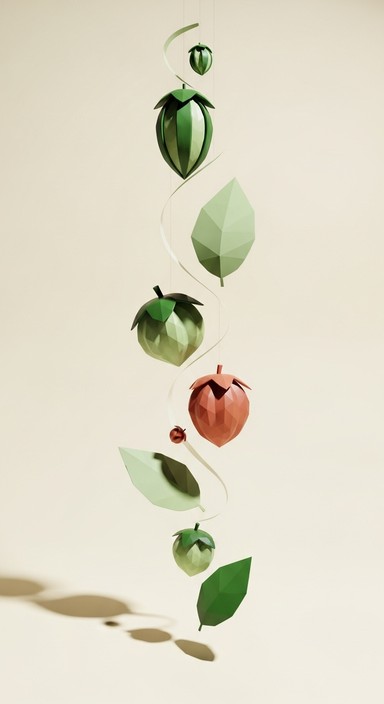 Free Floating Botanical Geometry Image | Download at StockCake