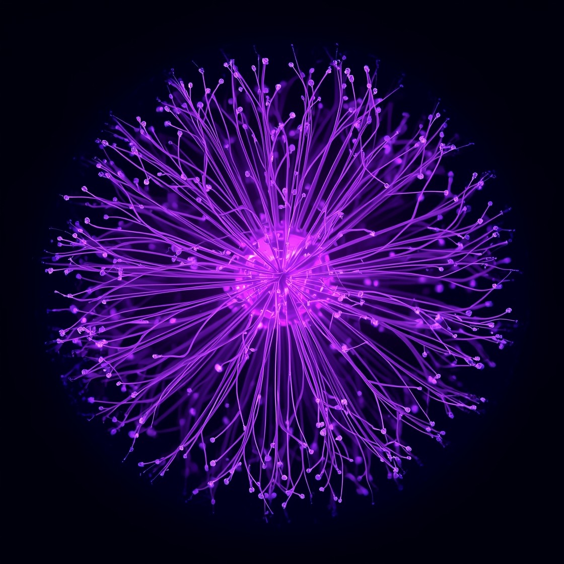 Free Purple Glowing Network Photo - Purple, Bioluminescent, Mycelial ...