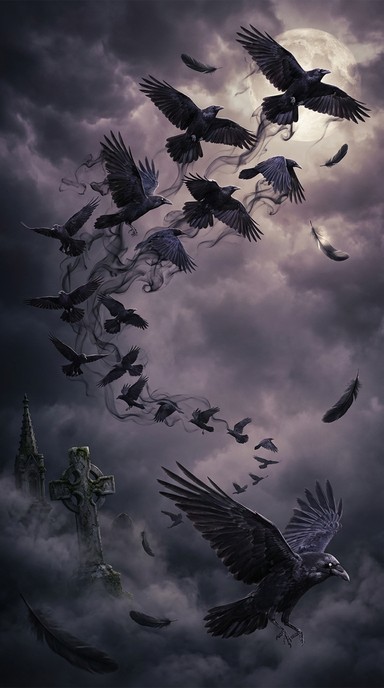 Free Ravens Ascending Darkness Image - Ravens, Crows, Birds | Download ...