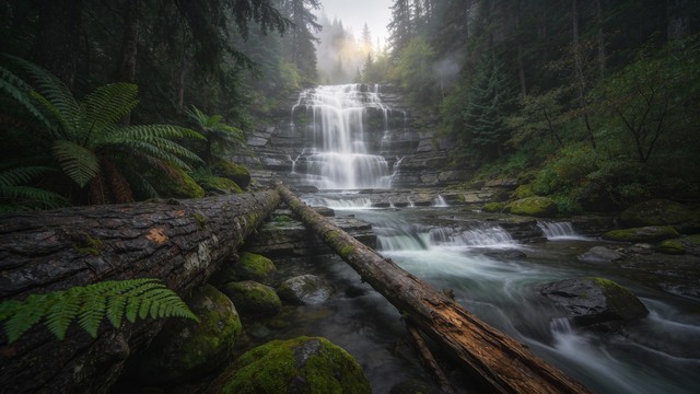 Free Misty Rainforest Cascade Image - Waterfall, Rainforest, Mist ...