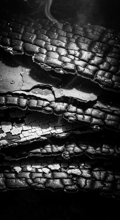 Free Charred Layers Revealed Image - Charred, Burnt, Texture | Download ...