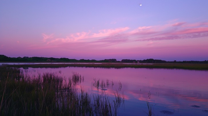 Free Serene Lake Sunset Image - Sunset, Lake, Forest | Download at ...