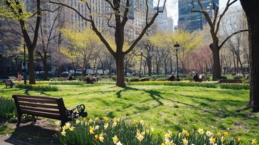 Springtime Park Picture Free Springtime Park Serenity Image - Spring, Park, Daffodils ...