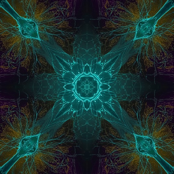 Free Biological Connection Networks Image - Biological, Networks ...