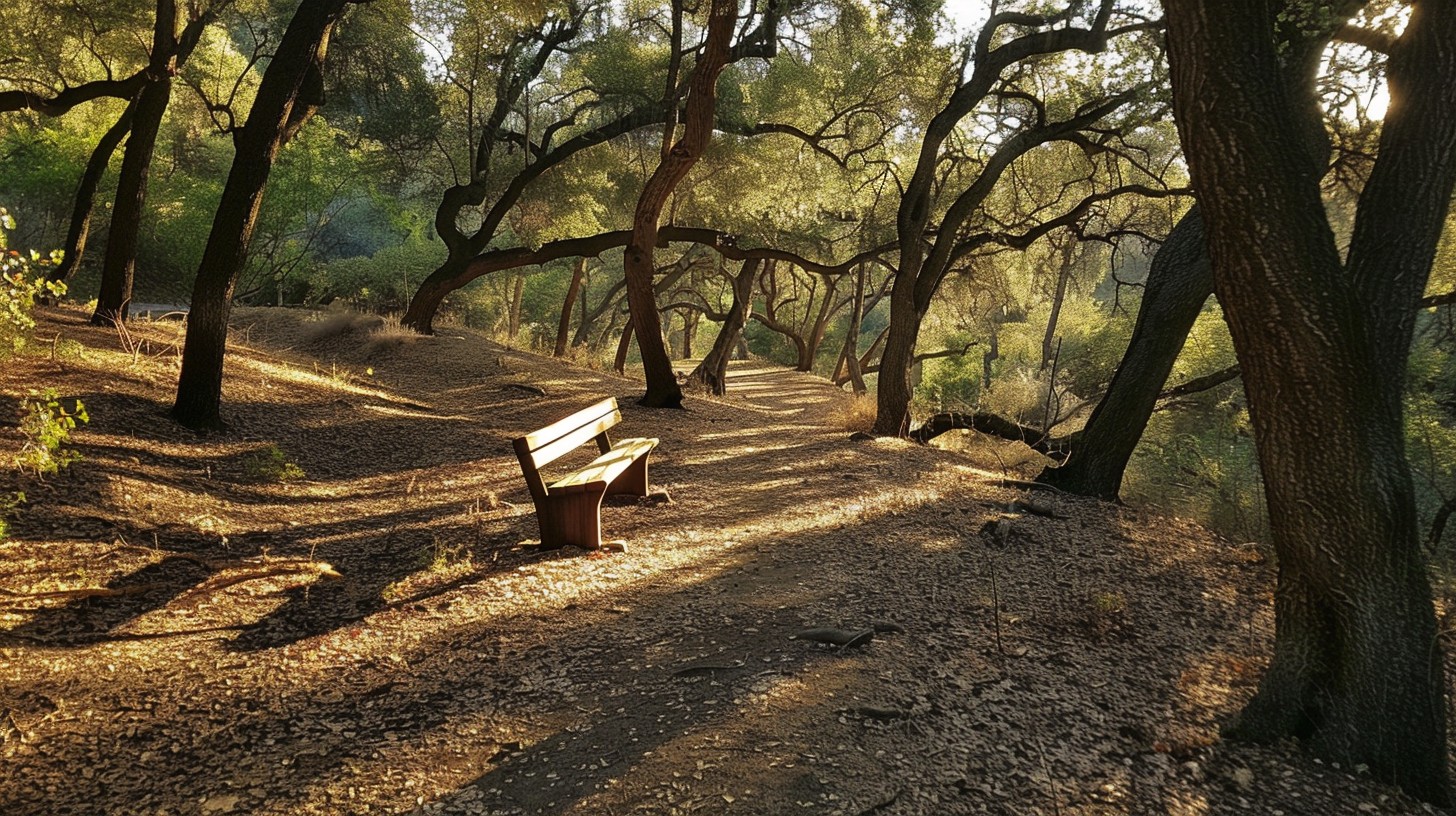 Free Serene Forest Bench Image - Forest, Bench, Sunlight | Download at ...