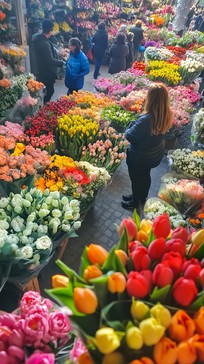 Free Blooming flower market Image - Flowers, Market, Colorful ...
