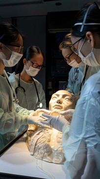 Free Advanced Medical Training Image - Healthcare, Simulation, Training ...