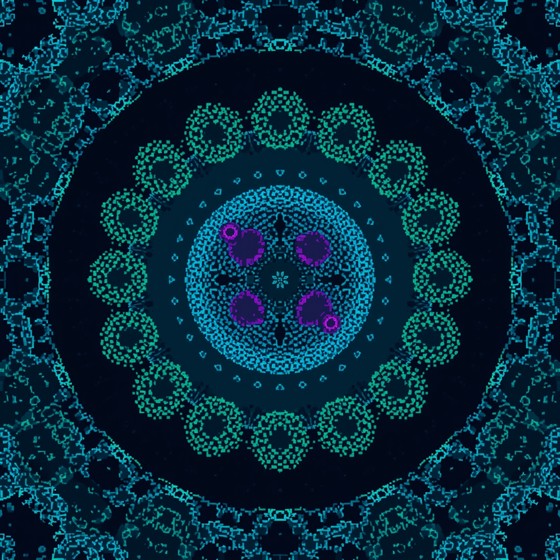 Free Cell Division Detected Image - Mitosis, Cell, Division | Download ...