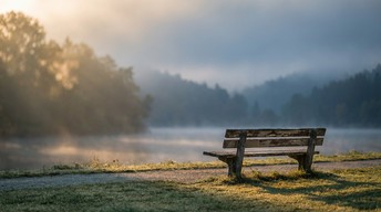 Solitude Setting Bench Free Peaceful Morning Solitude Image - Bench, Solitude, Peaceful ...