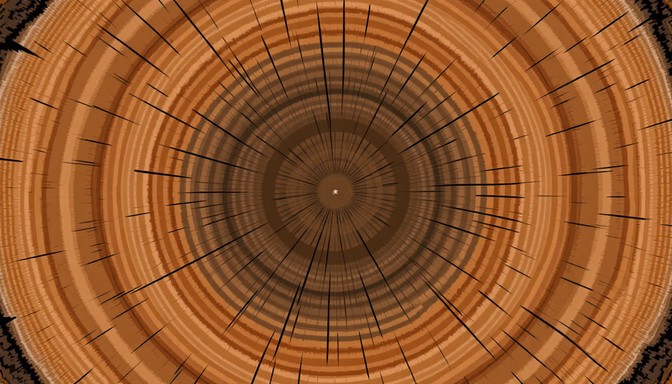 Free Concentric Oak Rings Image | Download at StockCake