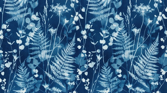 Organic Pattern Blue Free Blue Botanical Pattern Image - Cyanotype, Botanical, Pattern ...