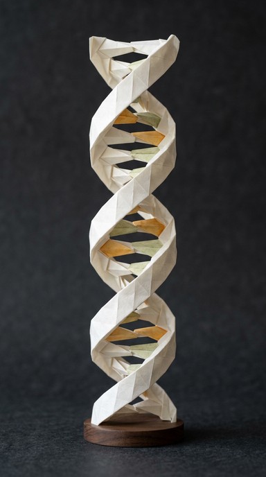 Free Paper DNA Sculpture Image - Origami, Dna, Sculpture | Download at ...