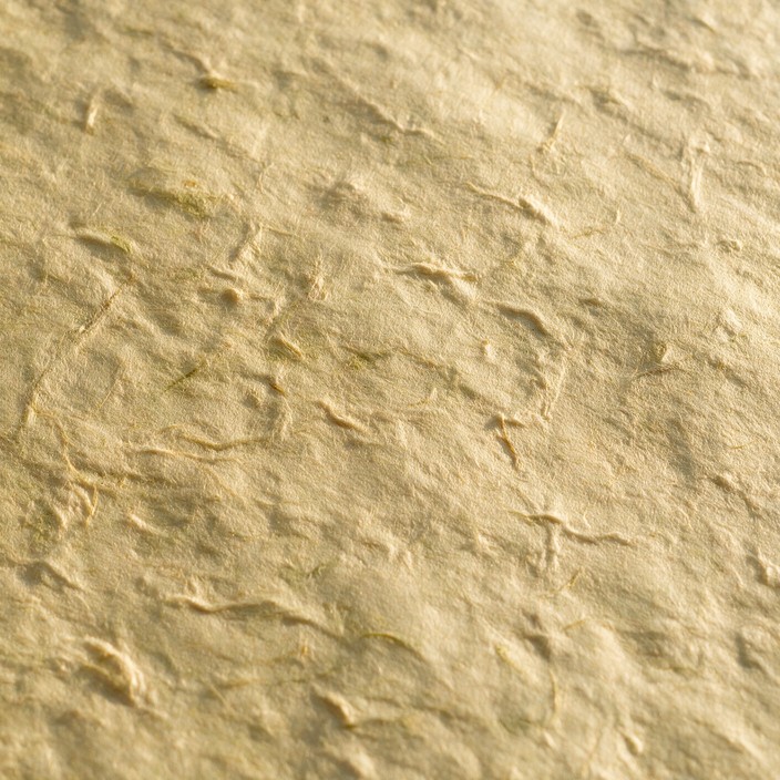 Close-up of warm ecru handmade paper with bumpy grain, tiny plant ...