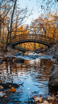 Free Autumn Bridge View Image - Autumn, Bridge, Stream | Download at ...