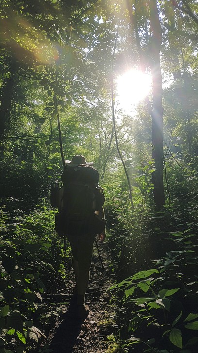 Free Hiking Forest Trail Image - Hiking, Forest, Trail | Download at ...