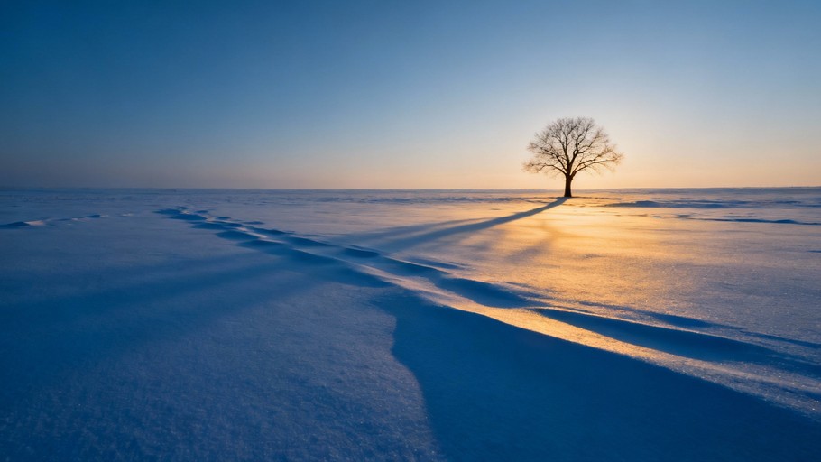 Free Solitary Winter Dawn Image - Winter, Dawn, Tree | Download at ...