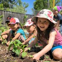Free Kids Planting Together Photo - Children, Planting, Gardening ...