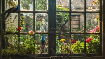 Free Serene Window View Image - Window, Flowers, Garden | Download at ...
