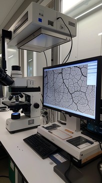 Free Advanced Research Microscopy Image - Microscope, Research ...