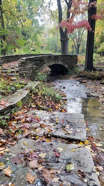 Free Autumn Bridge Scenery Image - Autumn, Bridge, Leaves | Download at ...