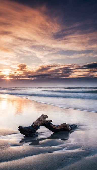 Free Sunset Beach Serenity Image - Beach, Sunset, Ocean | Download at ...